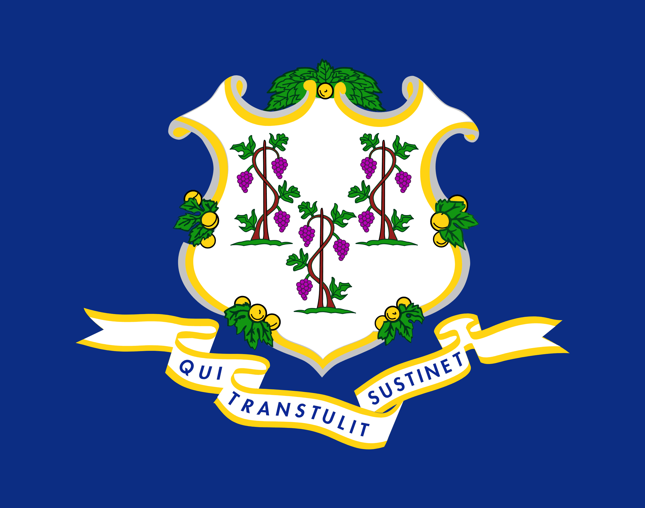 Flag of Connecticut - Professional business services in Connecticut