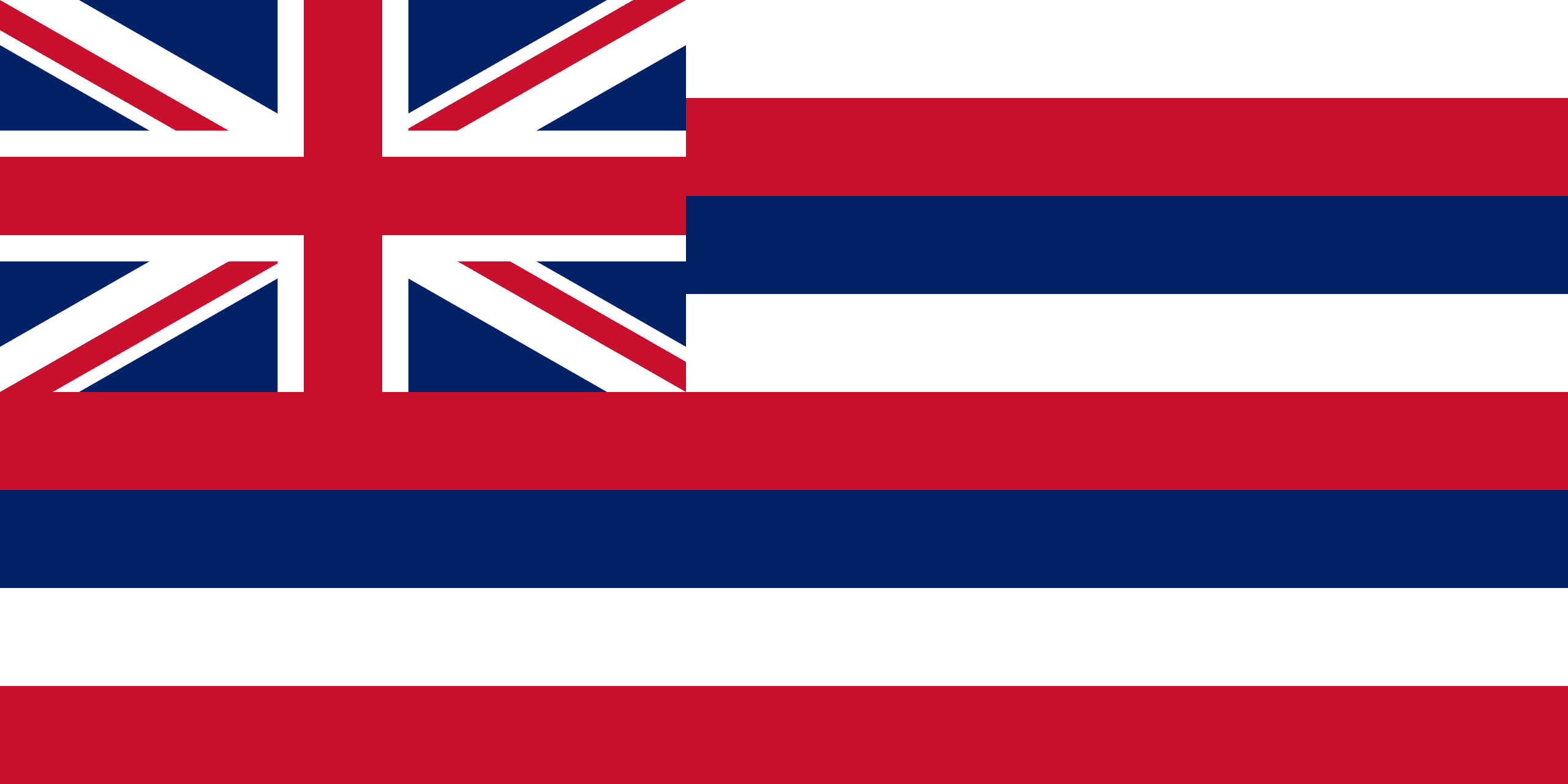 Flag of Hawaii - Professional business services in Hawaii