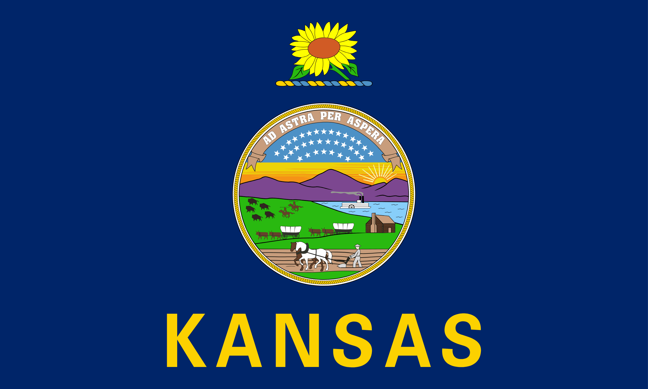 Flag of Kansas - Professional business services in Kansas