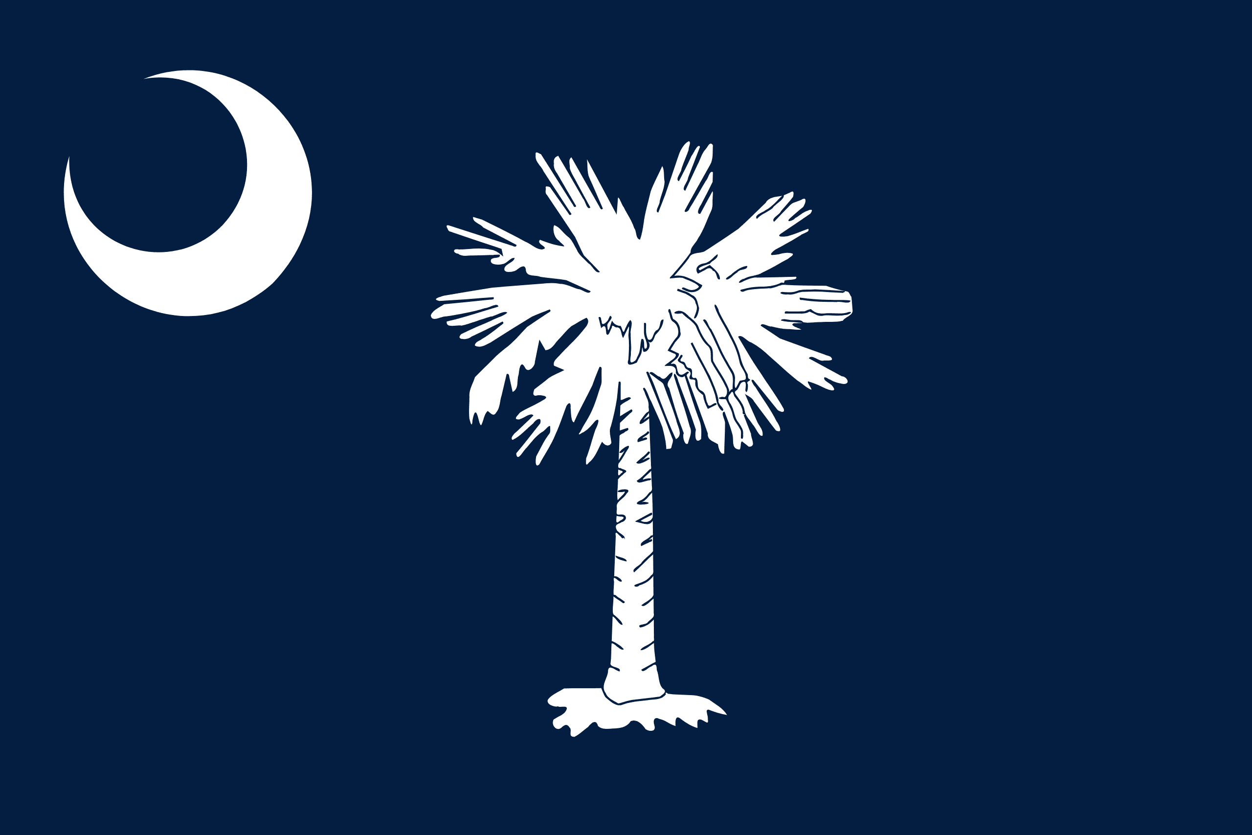 Flag of South Carolina - Professional business services in South Carolina